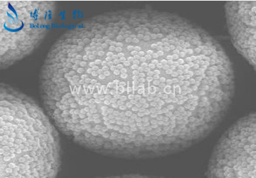 高分子聚合物色谱填料