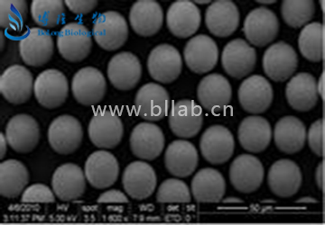 离子交换层析介质