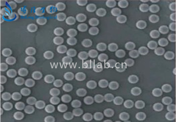 配体交换层析介质